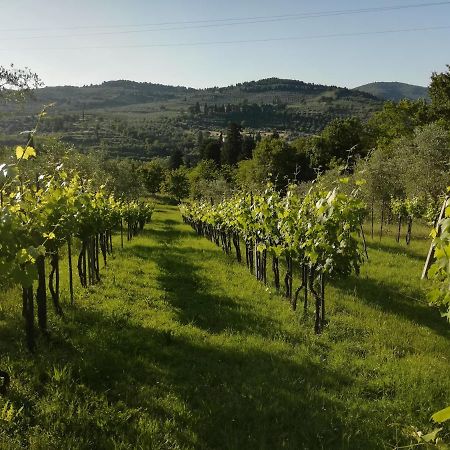 Villa Storica Di Majano Bagno a Ripoli Exterior foto